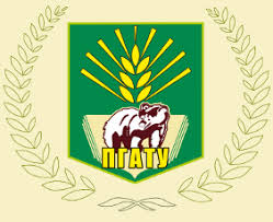 Купить диплом Пермского ГАТУ